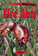 Fire Ants (Animals Attack!) cover