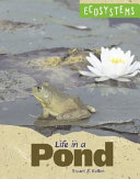 Life in a Pond cover