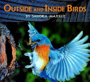 Outside and Inside You cover