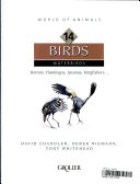 Hunting Birds cover