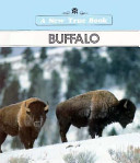 Buffalo cover