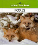 Foxes cover