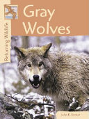 Gray Wolves cover