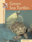 Green Sea Turtles cover