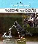 Pigeons and Doves cover