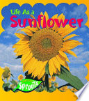 Life as a Sunflower cover