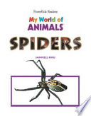 Spiders cover