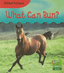What Can Run? cover