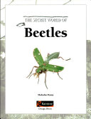 Beetles cover