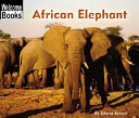African Elephant cover