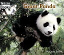 Giant Panda cover