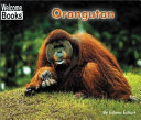 Orangutan cover