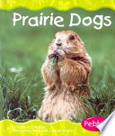 Prairie Dogs cover