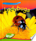 Ladybugs cover