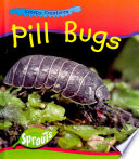 Pill Bugs cover