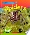 Spiders cover
