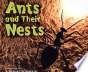 Ants and Their Nests cover