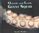 Outside and Inside Giant Squid cover