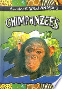 Chimpanzees cover
