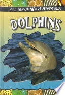 Dolphins cover
