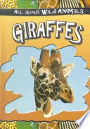 Giraffes cover