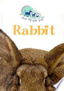 Rabbit cover