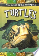 Turtles cover