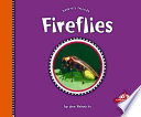 Fireflies cover