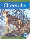 Cheetahs cover