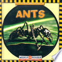 Ants cover