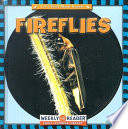 Fireflies cover