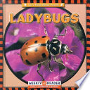 Ladybugs cover
