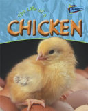 The Life of a Chicken cover