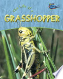 The Life of a Grasshopper cover
