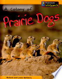 A Colony of Prairie Dogs cover