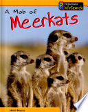 A Mob of Meerkats cover