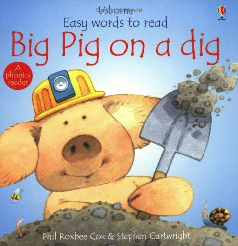 Big Digs cover