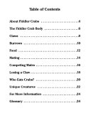 Fiddler Crabs cover