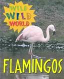 Flamingos cover