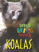 Kangaroos cover