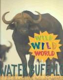 Water Buffalo cover