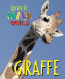 Giraffes cover