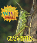Grasshoppers cover