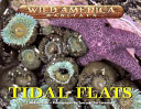Tidal Flats cover