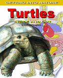 Turtles: Inside and Out cover