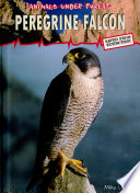 Peregrine Falcon cover