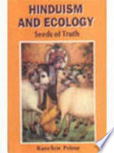 Hinduism cover