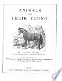 Farm Animals cover