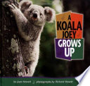A Koala Joey Grows Up cover