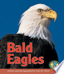 Bald Eagles cover